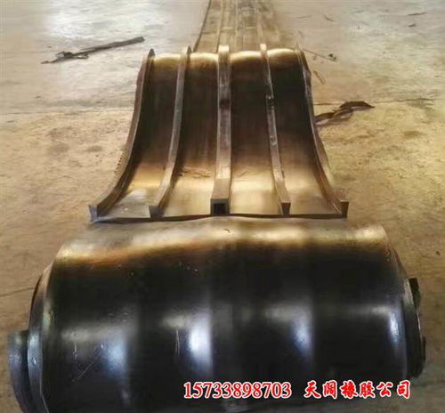 呼和浩特?zé)狳c國標(biāo)背貼式橡膠止水帶示范橡膠制品